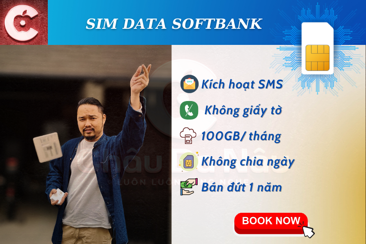 Sim 100gb không chia ngày